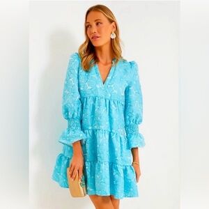 Tuckernuck Pomander Place Blue Daisy Jacquard Kenzo Dress Sz Large ruffle sleeve